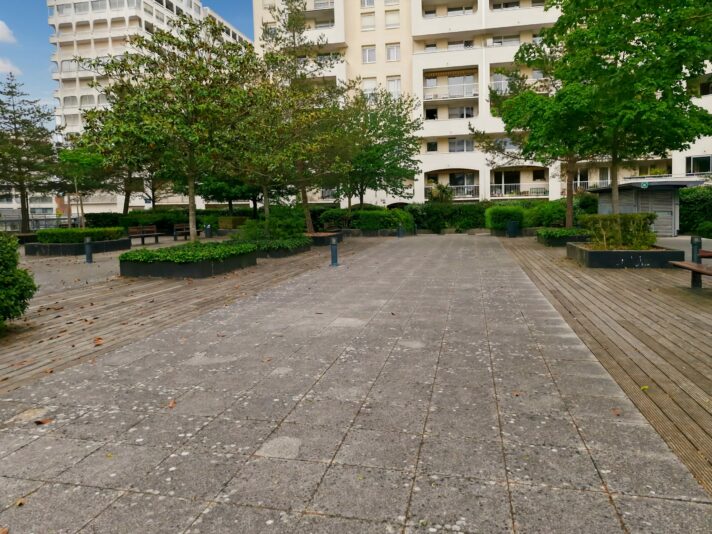 53118 - Square arboré