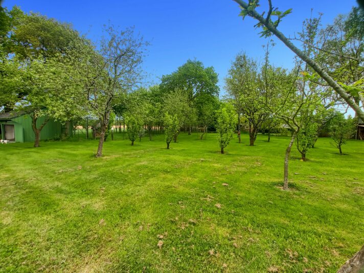53169_Jardin