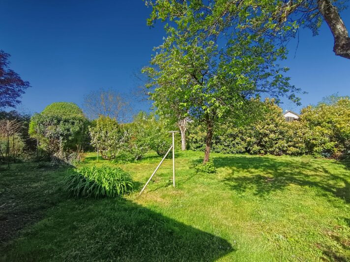 terrain_53167